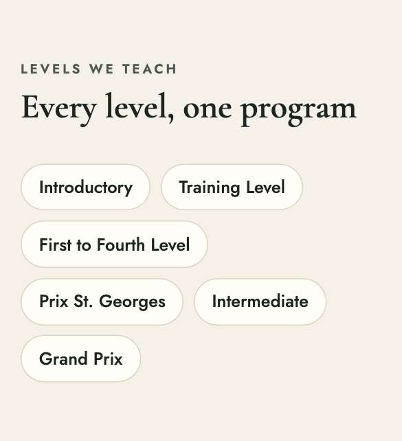 Silverline Dressage website on a phone. Levels: The training levels, in one row.